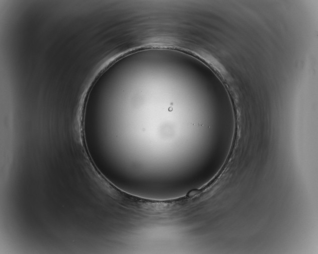 X0000089341248200706151037