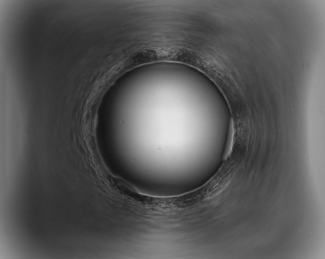 X0000089341249200706151037