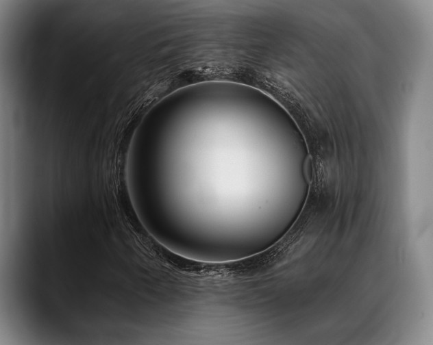 X0000089341250200706151037