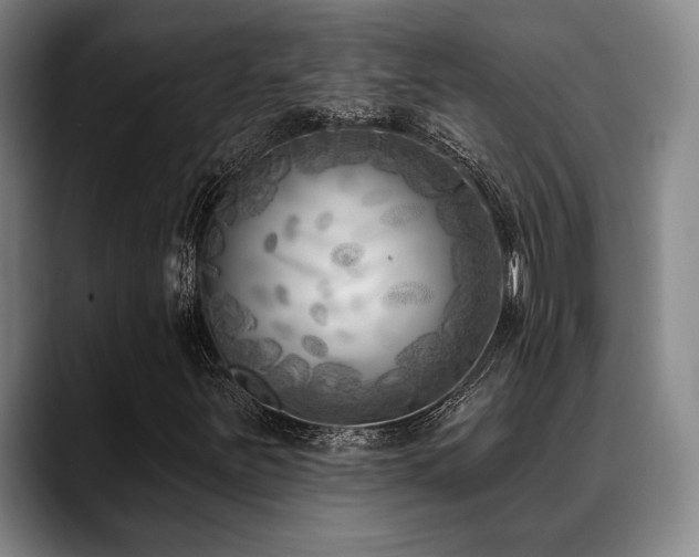X0000089341251200706151037