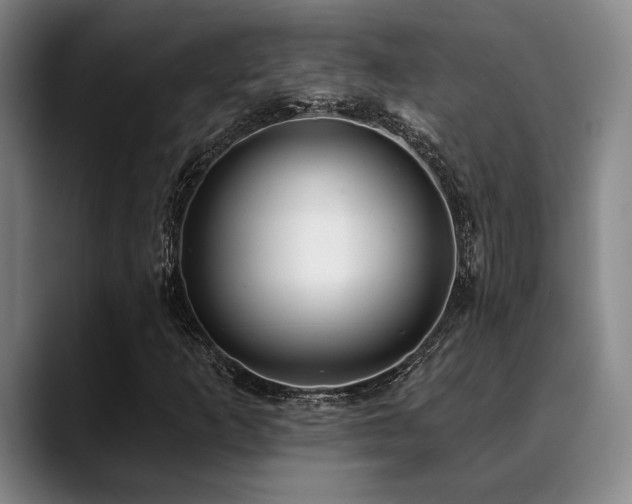 X0000089341253200706151037
