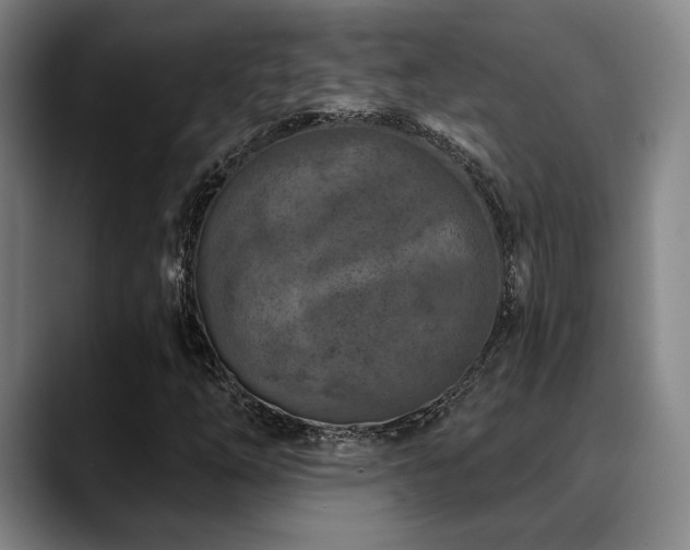 X0000089341254200706151037