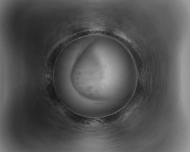 X0000089341255200706151037
