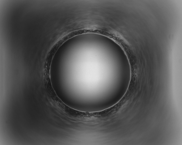 X0000089341256200706151037