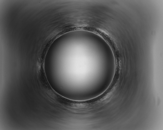 X0000089341257200706151037