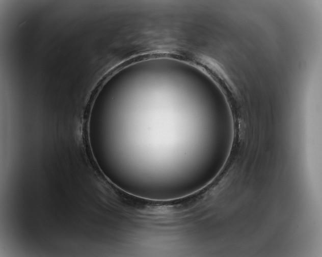 X0000089341260200706151037