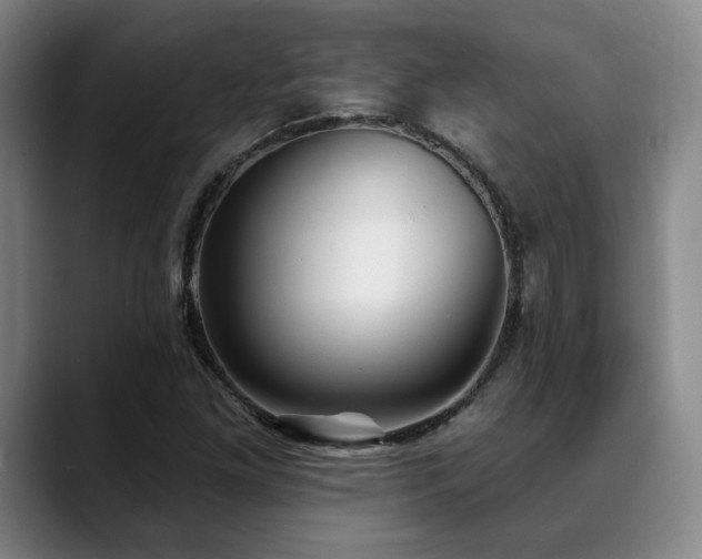 X0000089341261200706151037