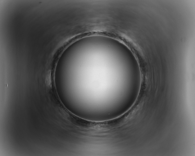 X0000089341262200706151037