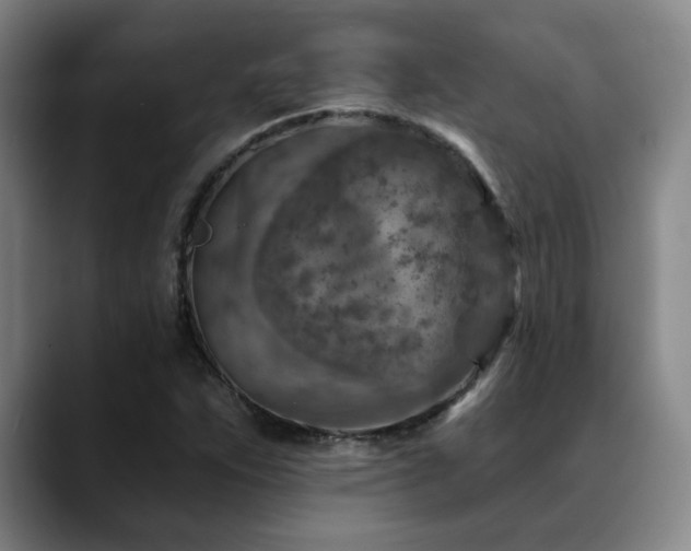 X0000089341263200706151037