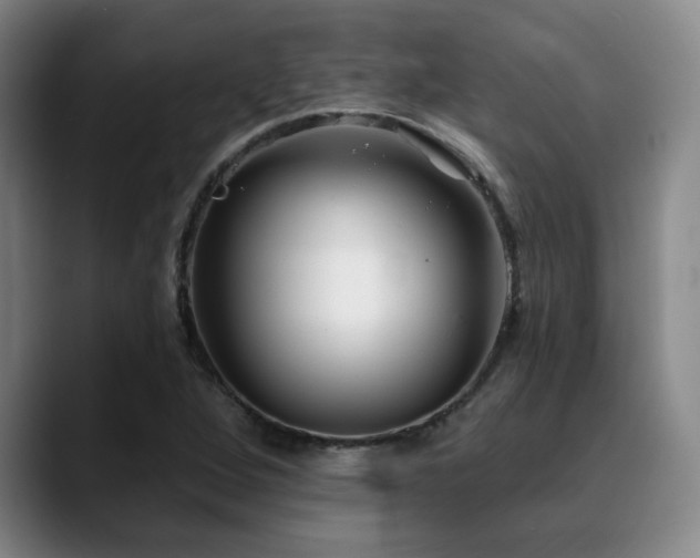 X0000089341264200706151037