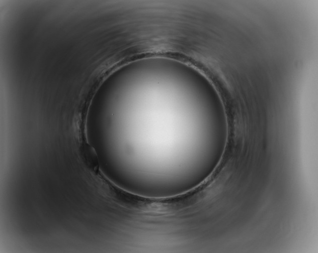 X0000089341265200706151037