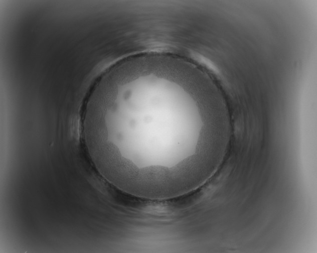 X0000089341267200706151037