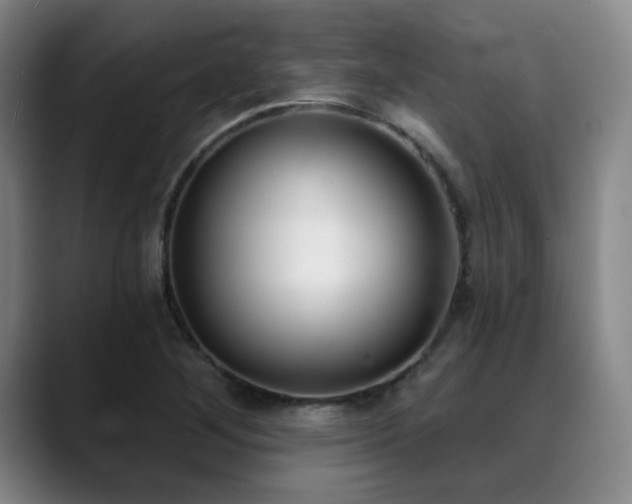 X0000089341268200706151037