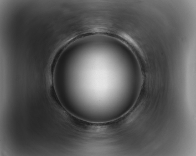 X0000089341269200706151037