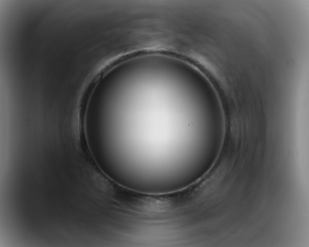 X0000089341270200706151037