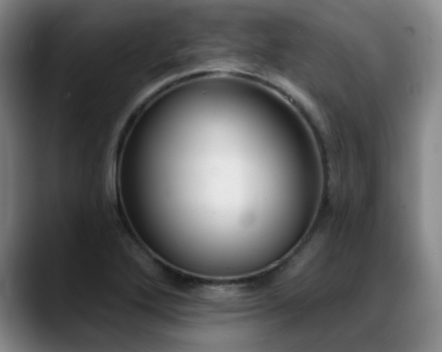 X0000089341272200706151037