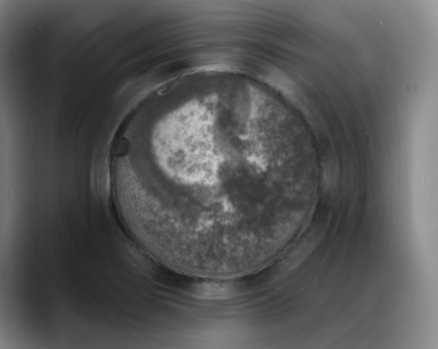 X0000089341274200706151037
