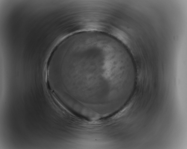 X0000089341275200706151037