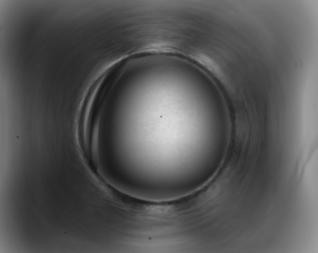 X0000089341277200706151037
