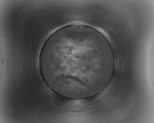 X0000089341279200706151037