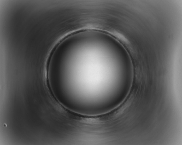 X0000089341280200706151037