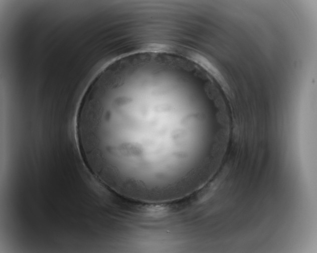 X0000089341283200706151037