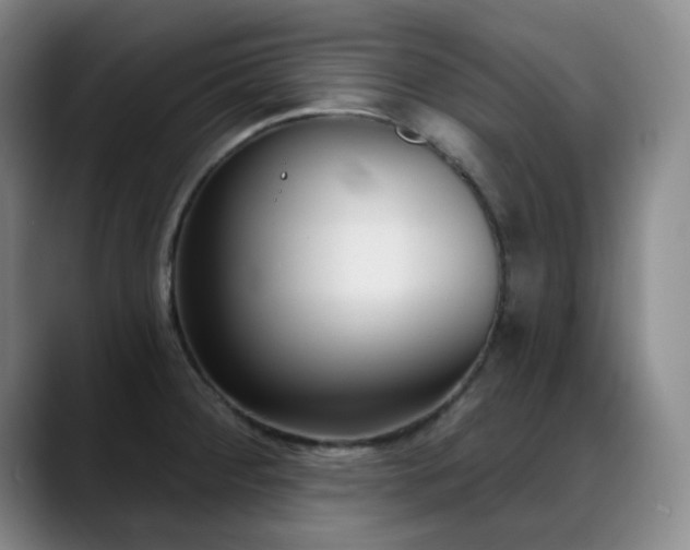 X0000089341284200706151037