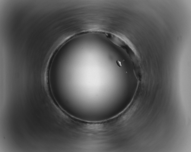 X0000089341285200706151036