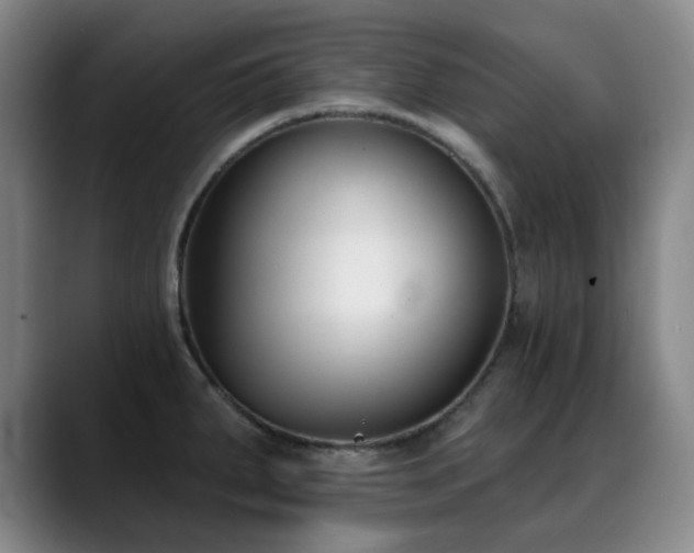X0000089341287200706151036