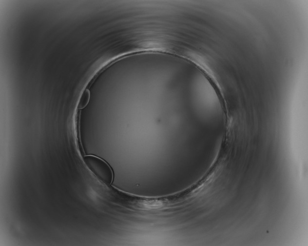 X0000089341291200706151036