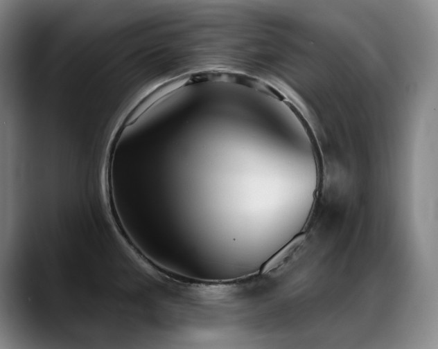 X0000089341293200706151036