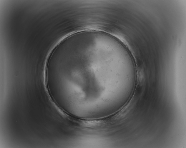 X0000089341294200706151036