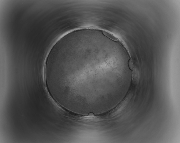 X0000089341295200706151036