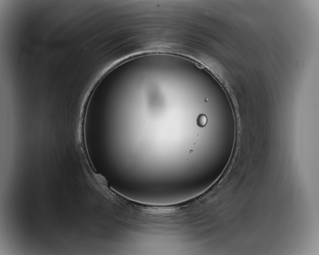 X0000089341296200706151036