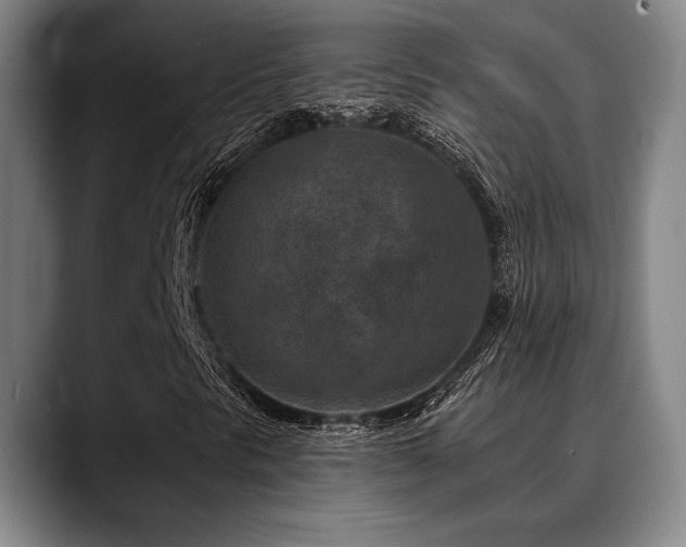 X0000089341297200706151036
