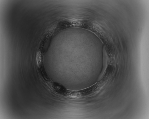 X0000089341298200706151036