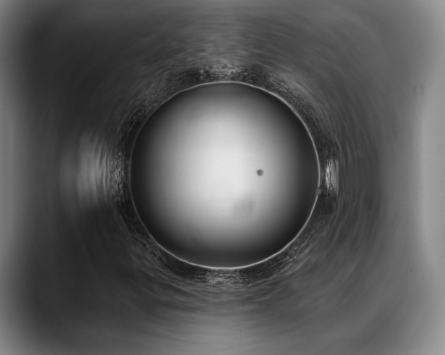X0000089341299200706151036