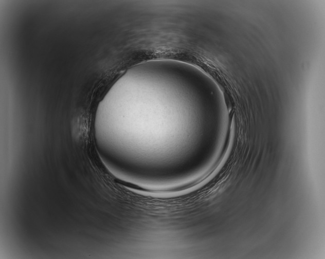 X0000089341300200706151036