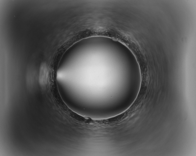 X0000089341301200706151036