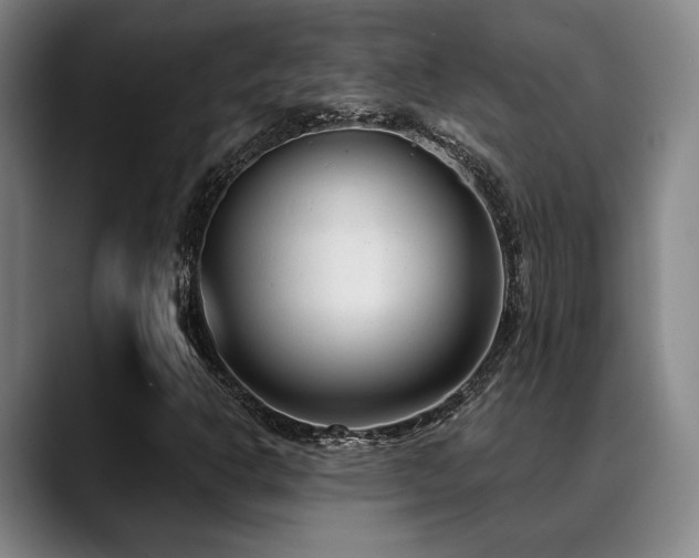 X0000089341302200706151036