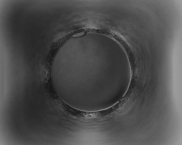 X0000089341303200706151036