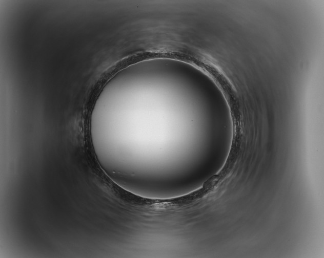 X0000089341304200706151036