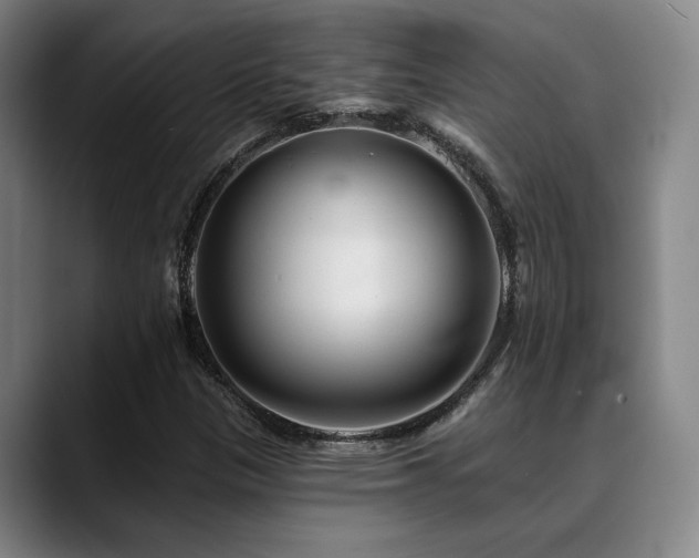 X0000089341305200706151036