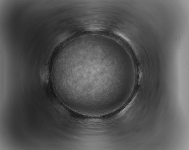 X0000089341306200706151036