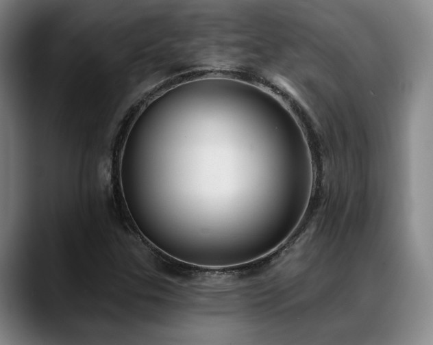X0000089341307200706151036