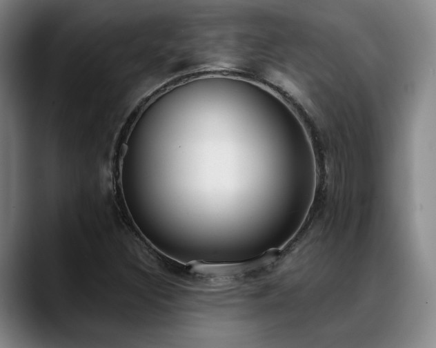 X0000089341308200706151036