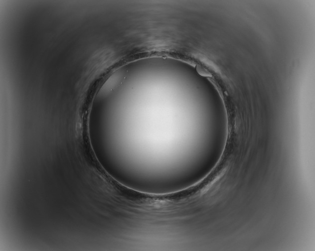X0000089341309200706151036