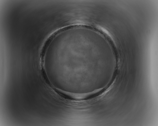 X0000089341310200706151036