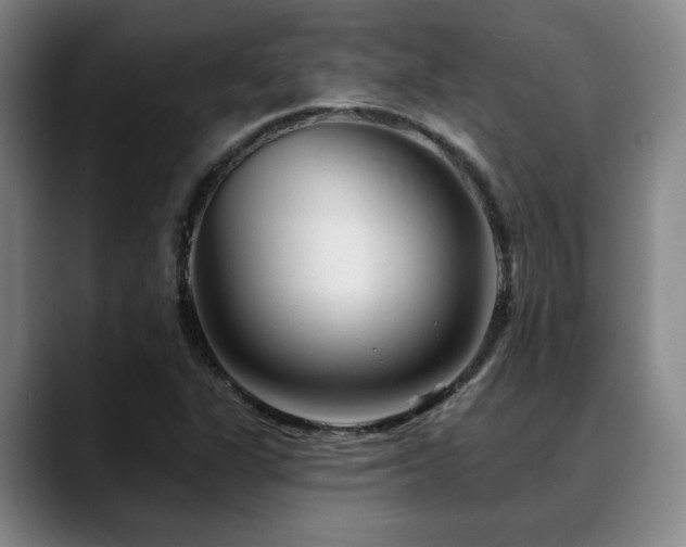 X0000089341311200706151036
