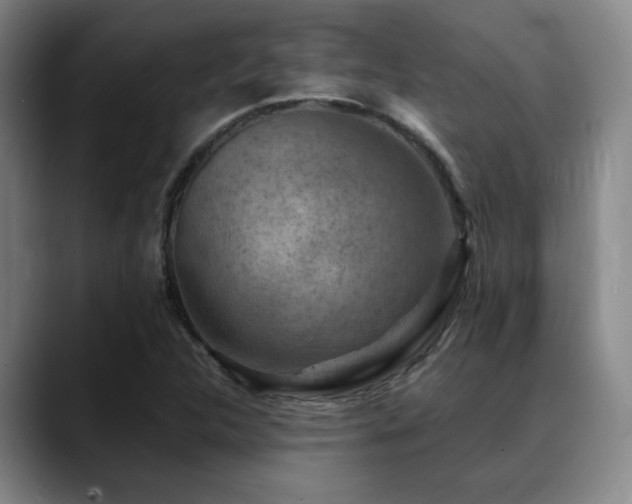 X0000089341312200706151036